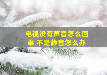 电视没有声音怎么回事 不是静音怎么办